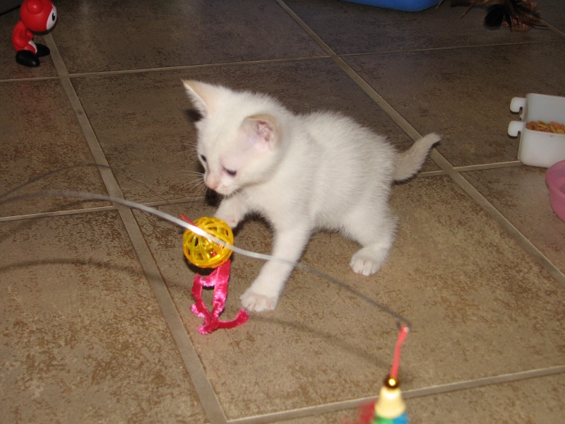 20100206 420.JPG